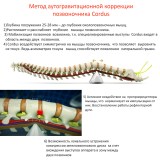 Метод лечения